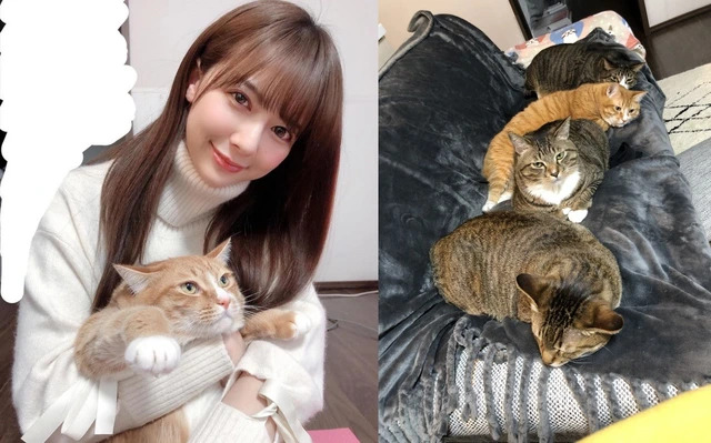 Nanami Misaki nuôn những chú mèo đáng yêu